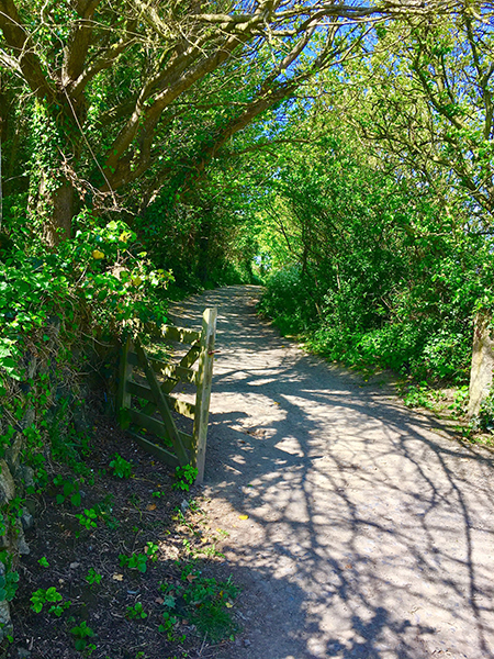 Footpath from Croyde village to Croyde Bay beach